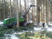 2013-03-20 09.22.01.jpg